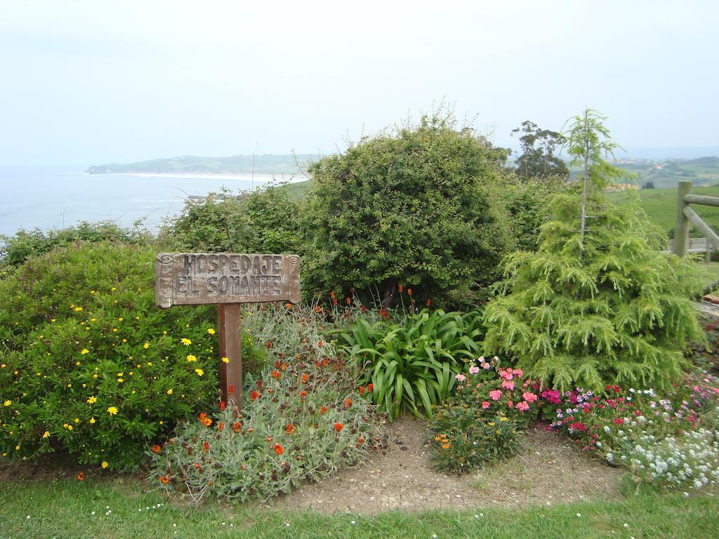 Hospedaje El Somante (Adults Only) San Vicente De La Barquera Buitenkant foto
